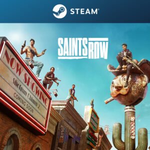 Saints Row – Platinum Edition - STEAM Account