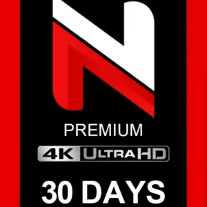 Netflix Accounts 30Days